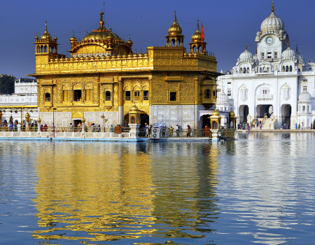 Untitled design (41)