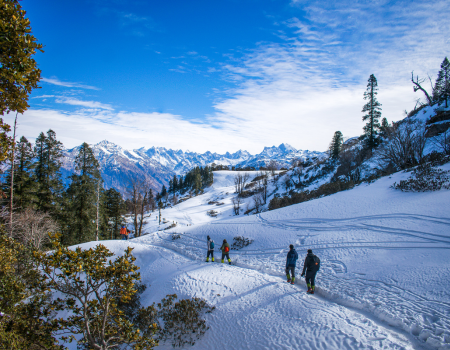 Untitled design (43)