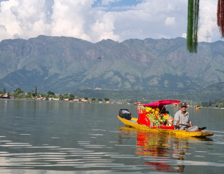 Untitled design (58)