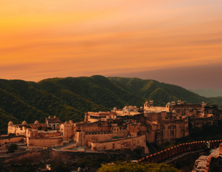 Untitled design (64)