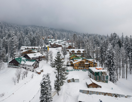 Untitled design (66)