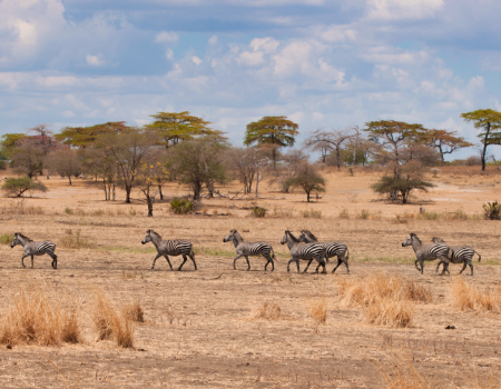 Untitled design (80)