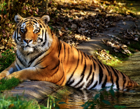 Untitled design (81)