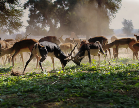 Untitled design (83)