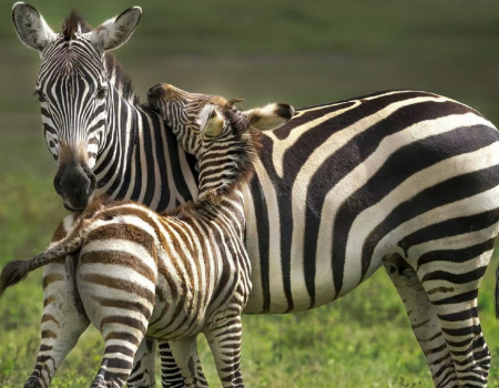 Untitled design (84)